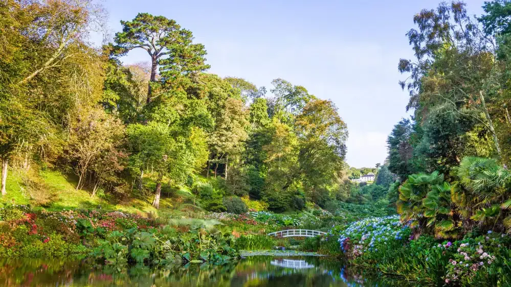 Trebah Garden